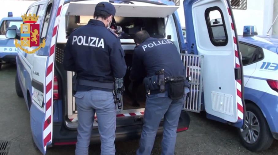 Reggio, piano "focus 'ndrangheta": perquisizioni, controlli e sequestri nel rione Marconi